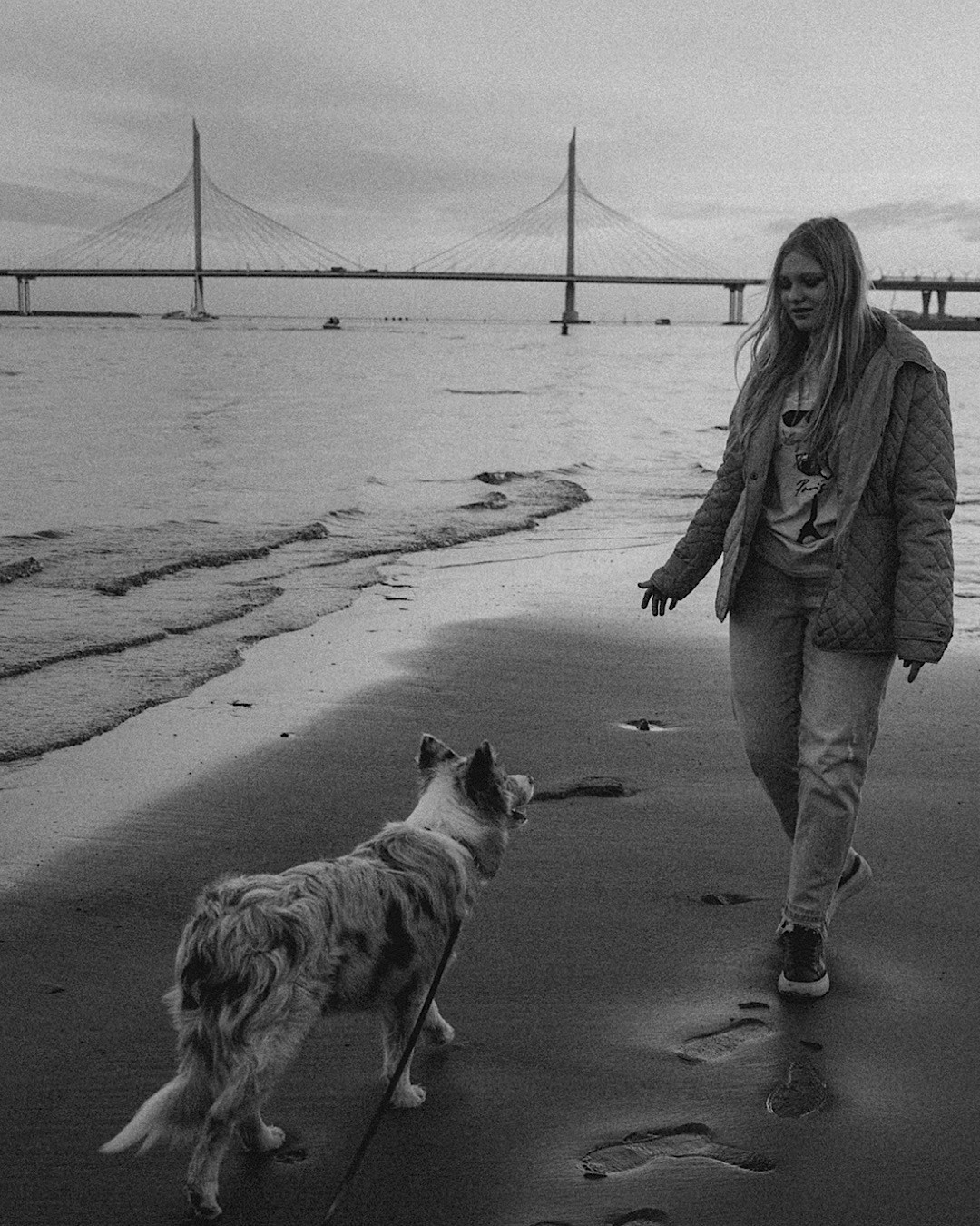 Света, Катрин и Умка. Фотограф анималист в Москве и Санкт-Петербурге Свиридова Анна