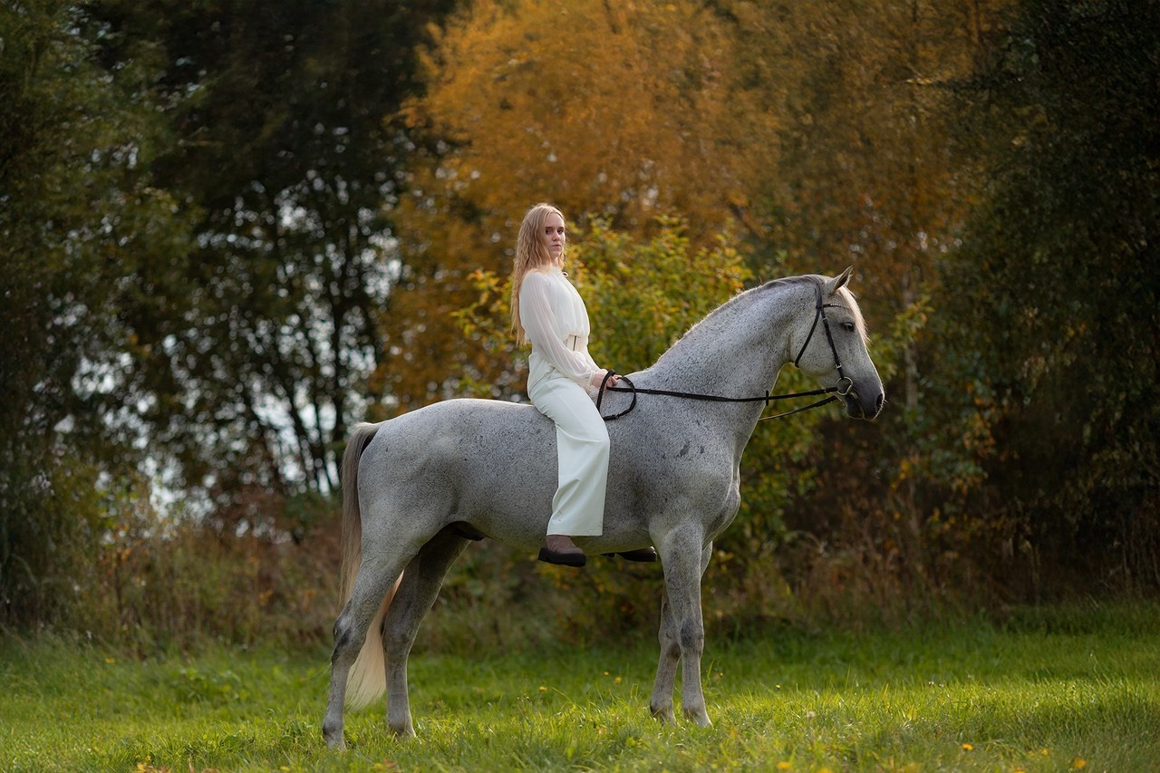 Отзывы о фотосессиях с лошадьми. Фотосессии с лошадьми в Москве от Конный фотографа Кутейниковой Светланы