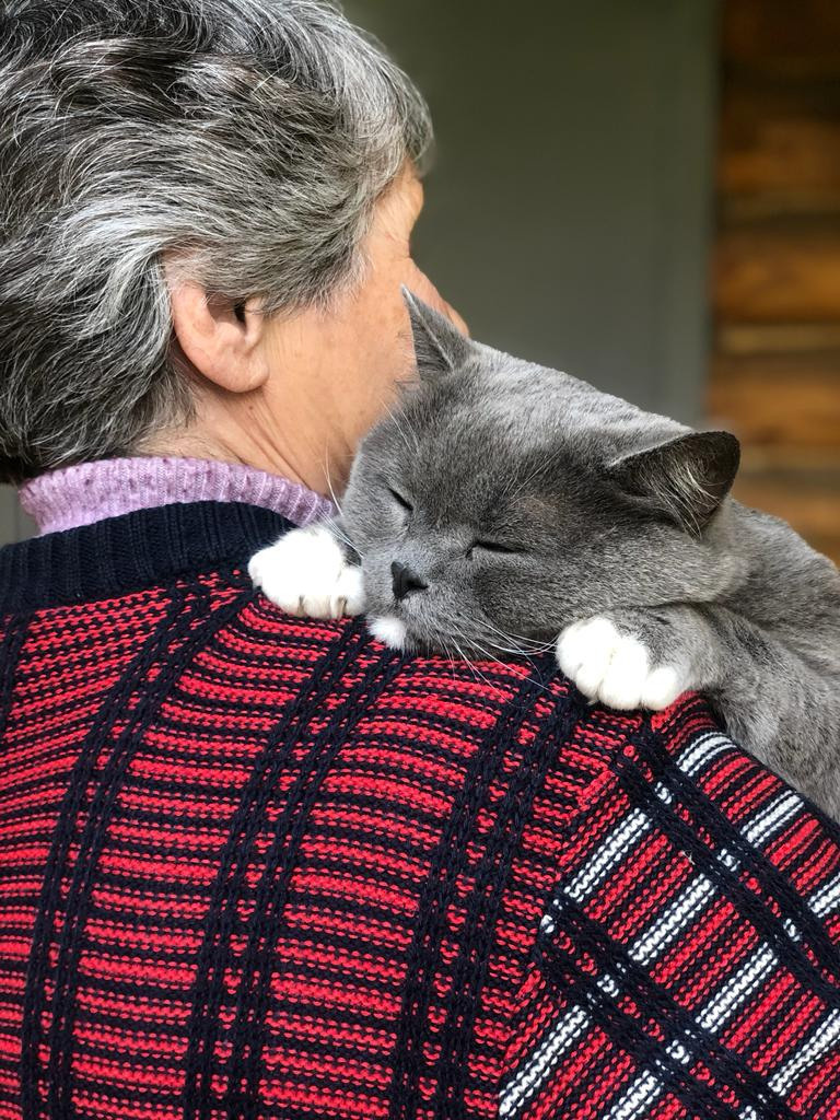 Кейсы учеников. Online фотошкола PhotoLevel