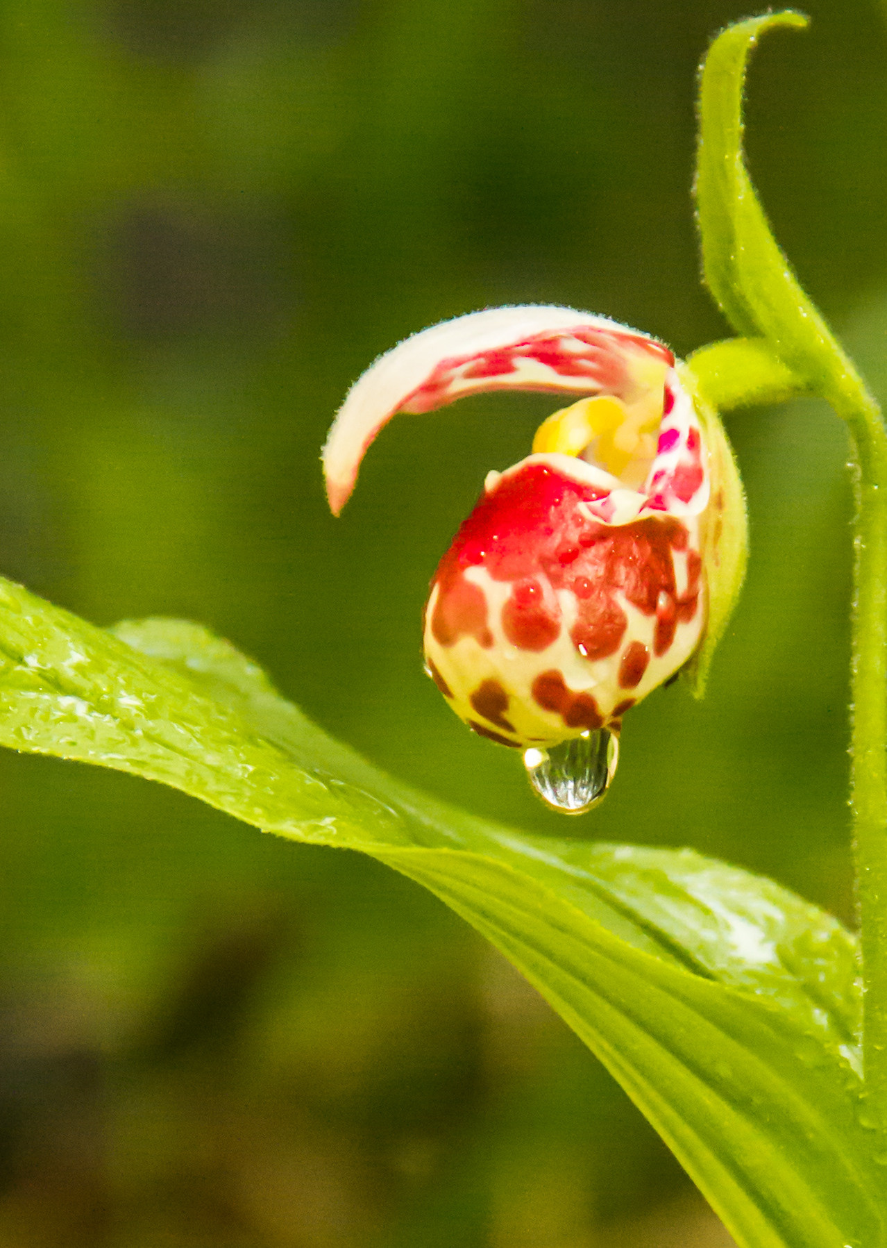 Северный Урал. Авторские туры с профессиональным фотографом