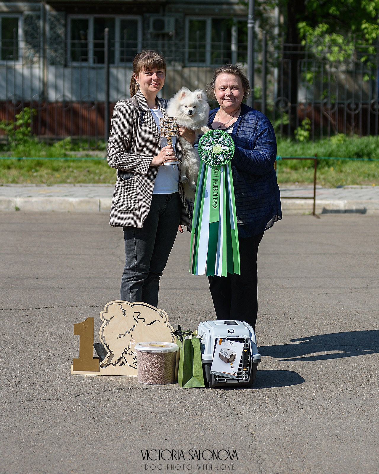 19 мая 2024 Благовещенск. Монопородная выставка шпицев. Фотограф анималист Благовещенск. Сафонова Виктория