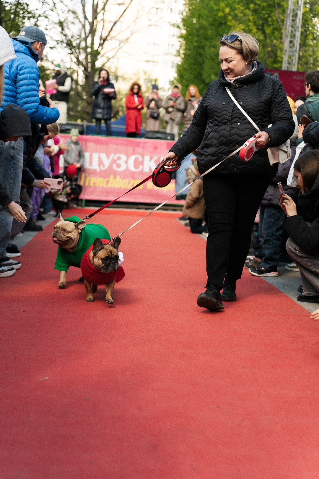 Парад Бульдогов. Axenov_eugene