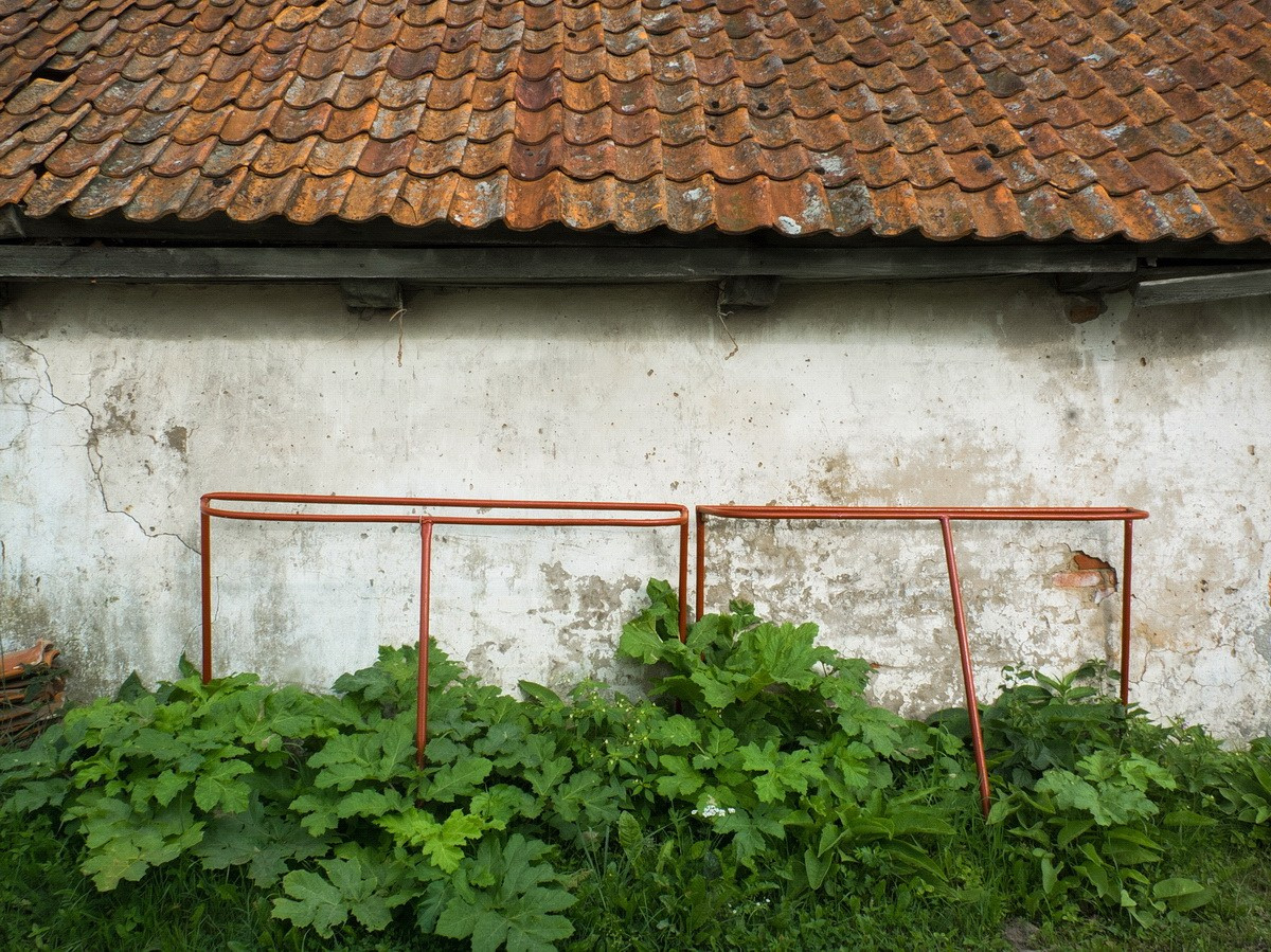 Found Walking. Abramovspace