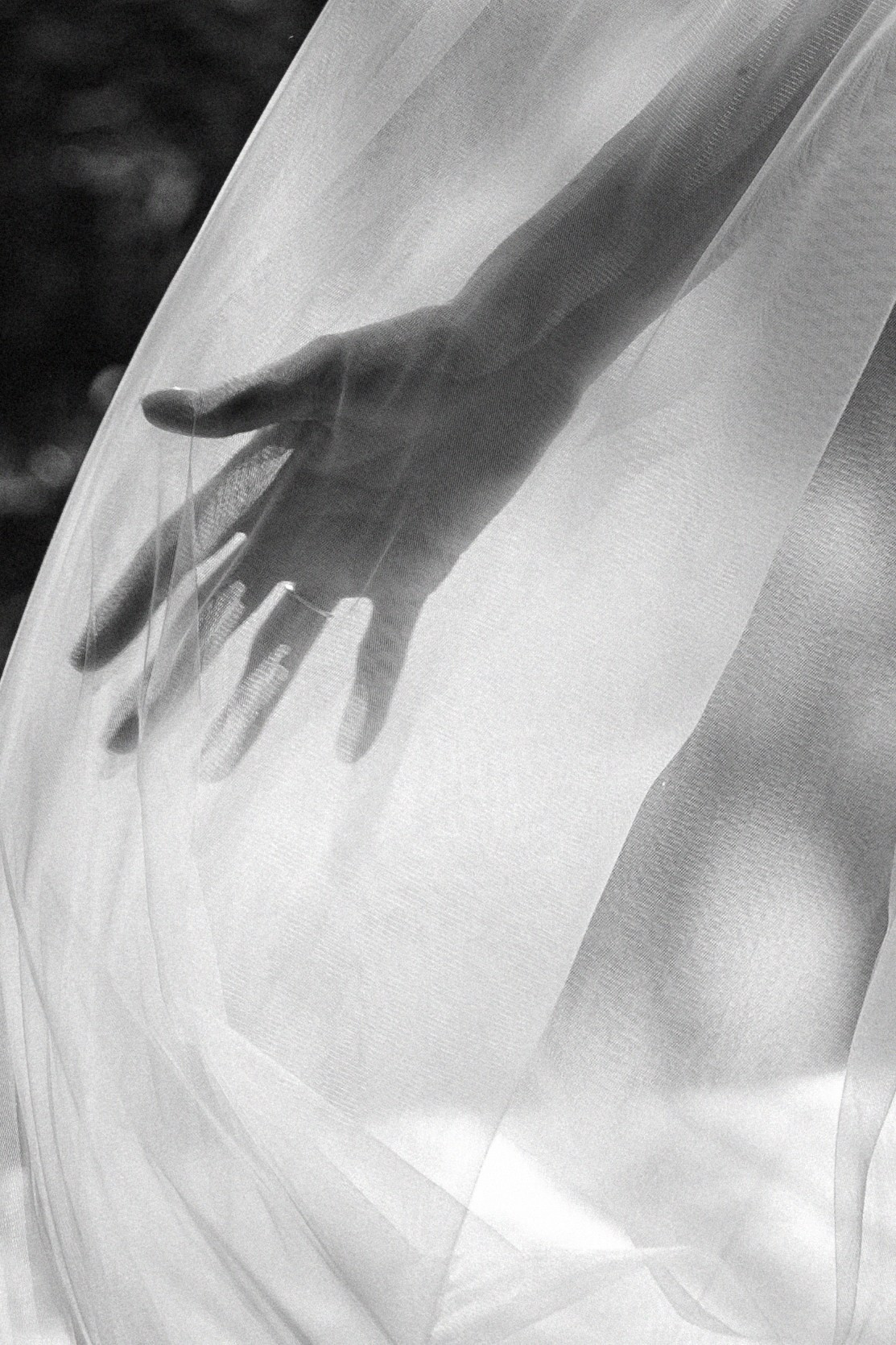 Золотая осень Андрея и Дарьи в Art Village Club. Свадебный фотограф Москва