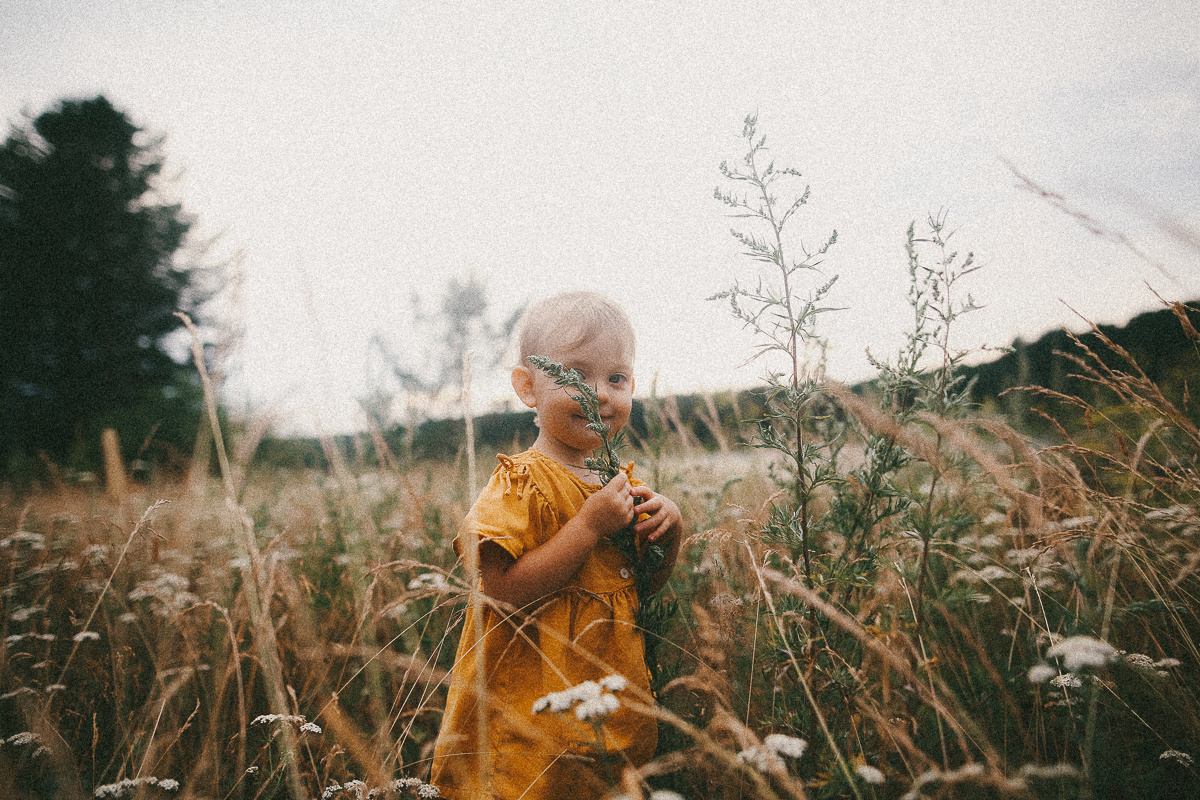 Поцелуй ветра. Соня Черных (sophieblack)