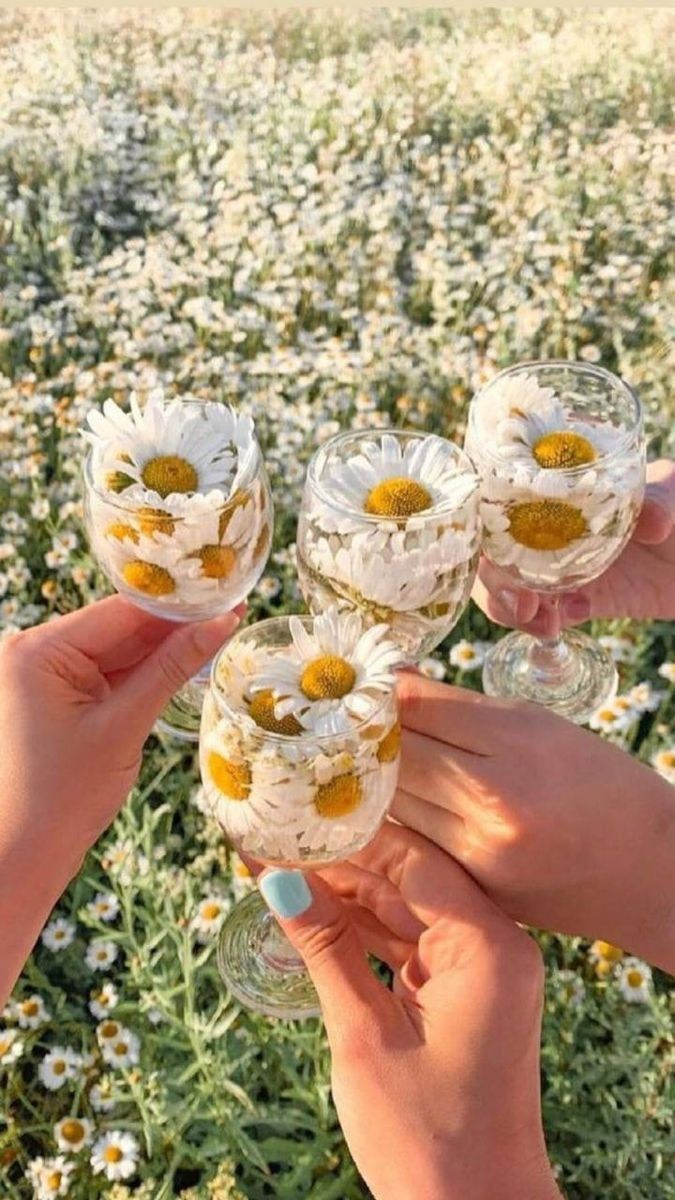 Как организовать летний пикник. Фотограф Марина Верятинская | Краснодар