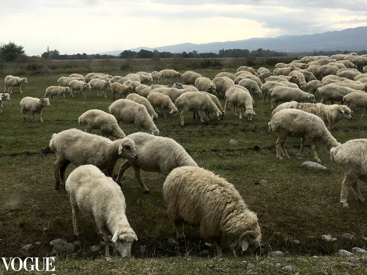 Публикации. Анастасия Воропаева — фотограф на роды СПб