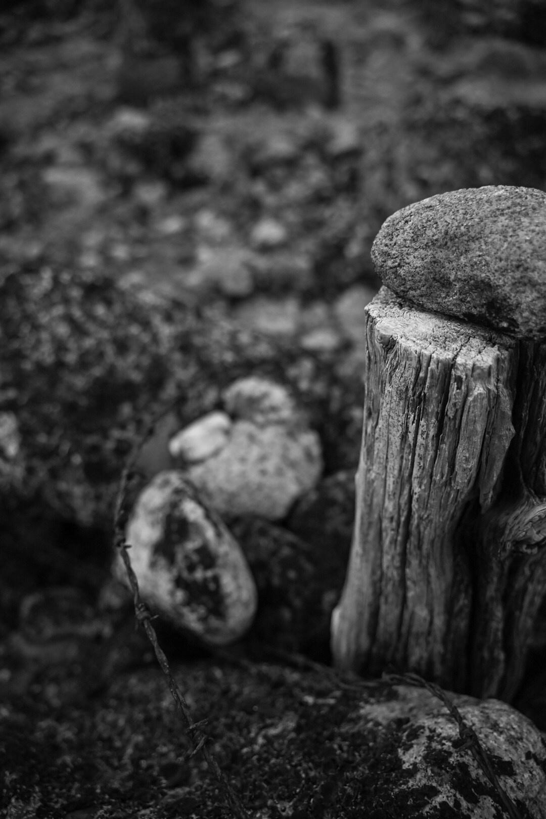 Nature. Андрей Пиотровский. Фотограф