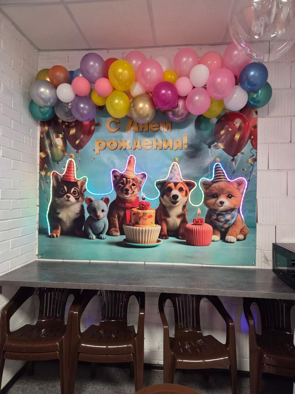 Площадка. Девятое королевство