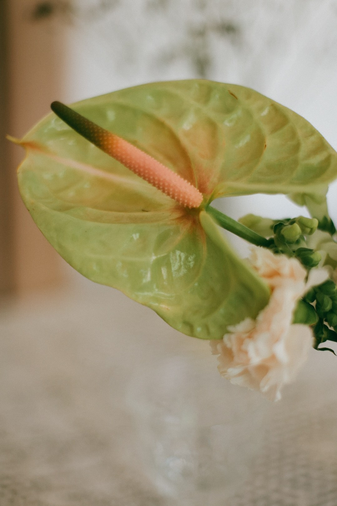 Влад и Даша. Фотограф Нижний Новгород