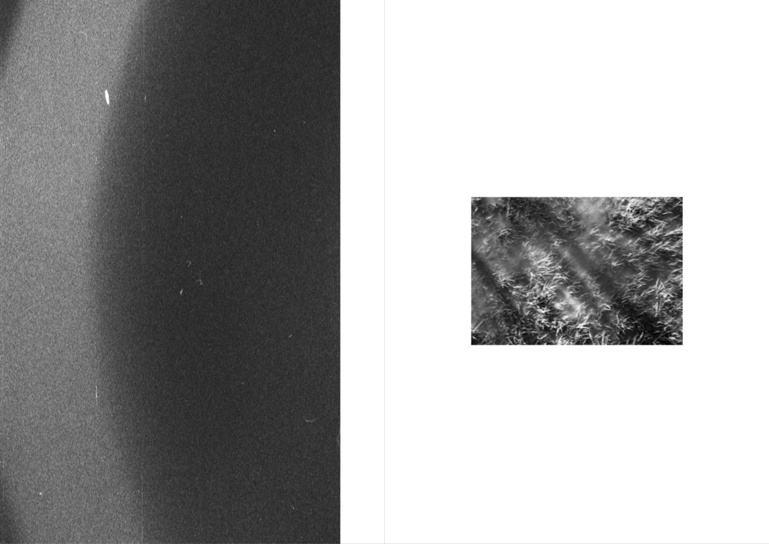 Когда я дома. Надя Шумина