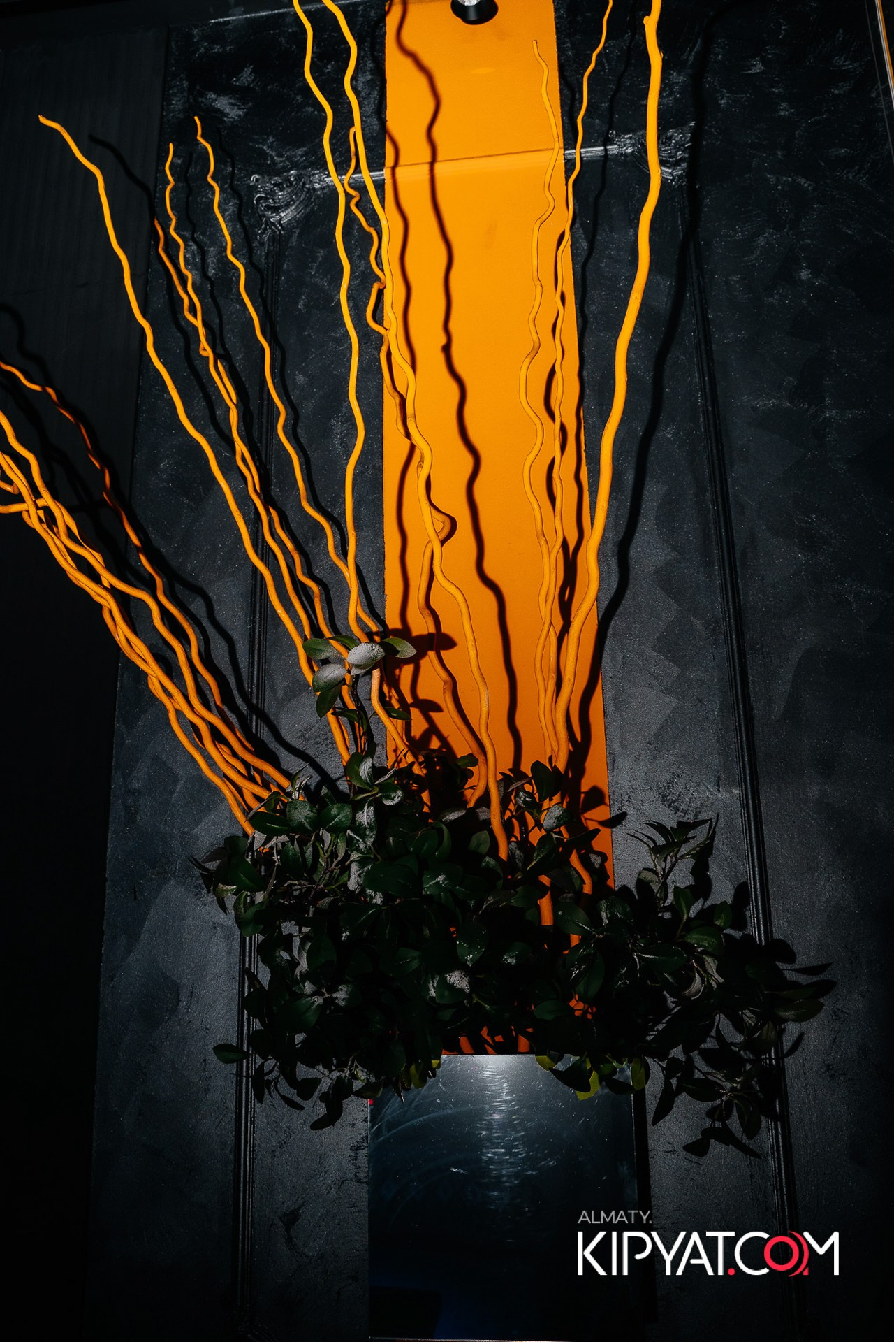 УХО И МЕДВЕДЬ НА ГАГАРИНА. КИПЯТКОМ АЛМАТЫ!