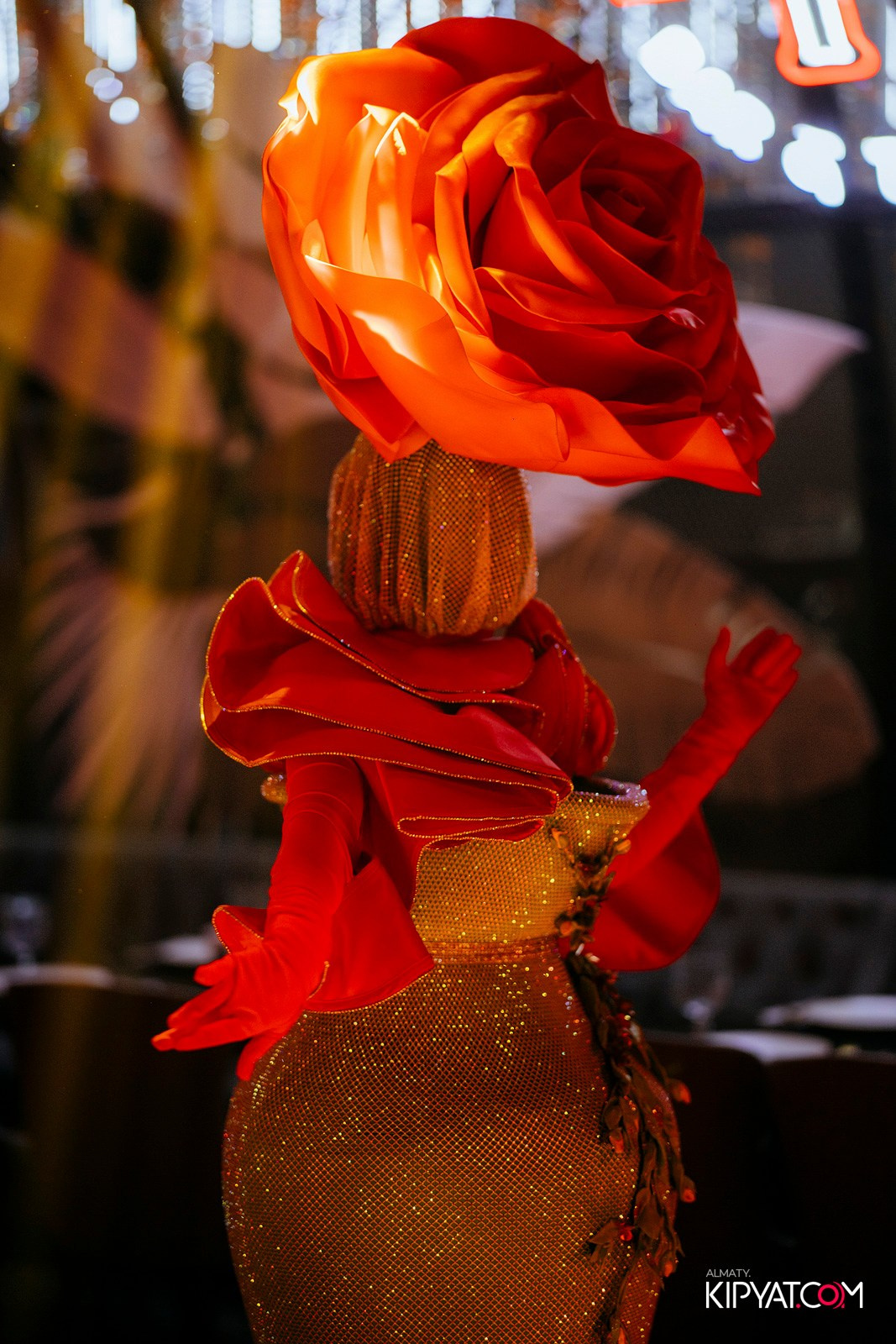 FRIENDS BAR & TERRACE. КИПЯТКОМ АЛМАТЫ! Фотосъемка мероприятий в Алматы