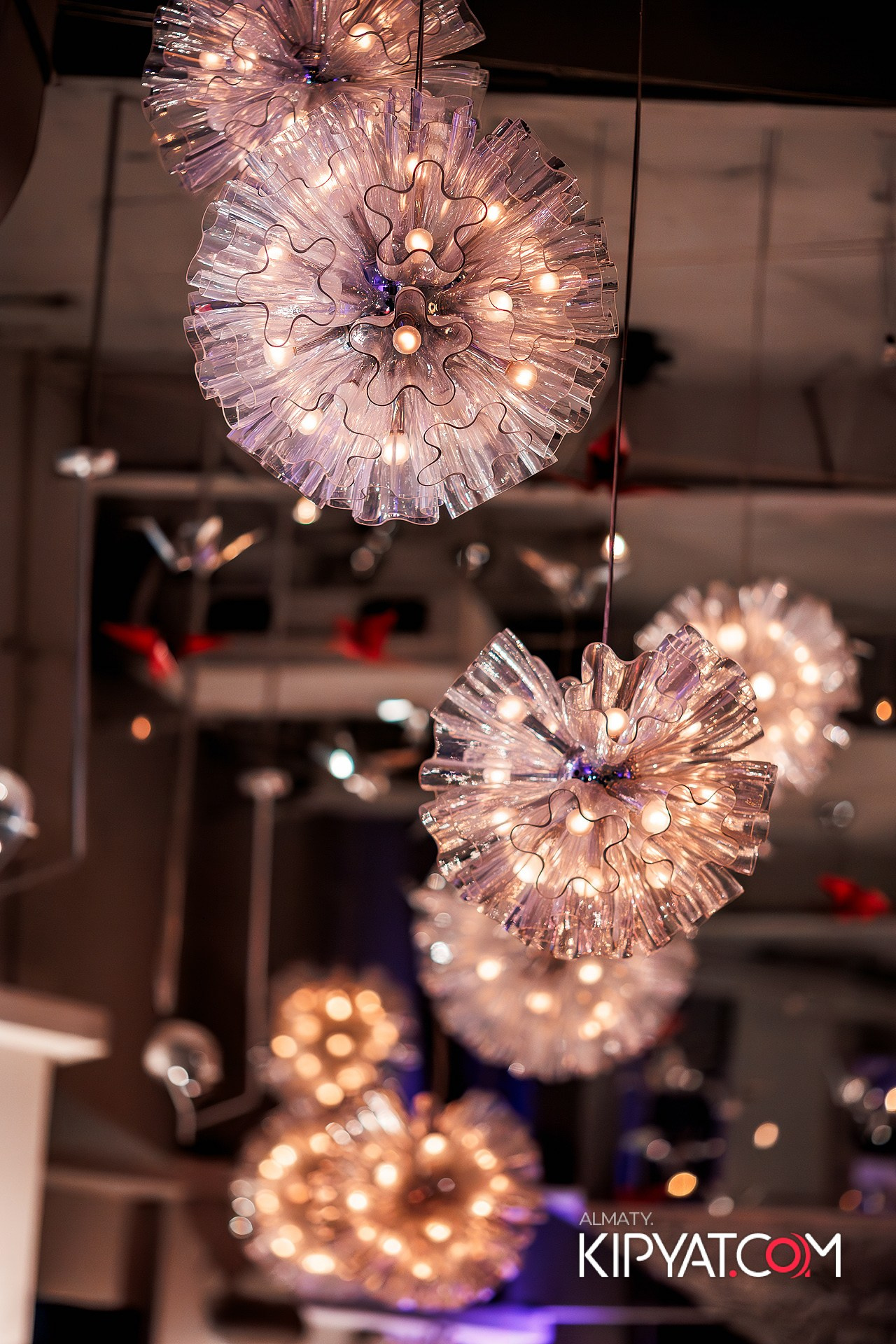 BarFly. КИПЯТКОМ АЛМАТЫ!