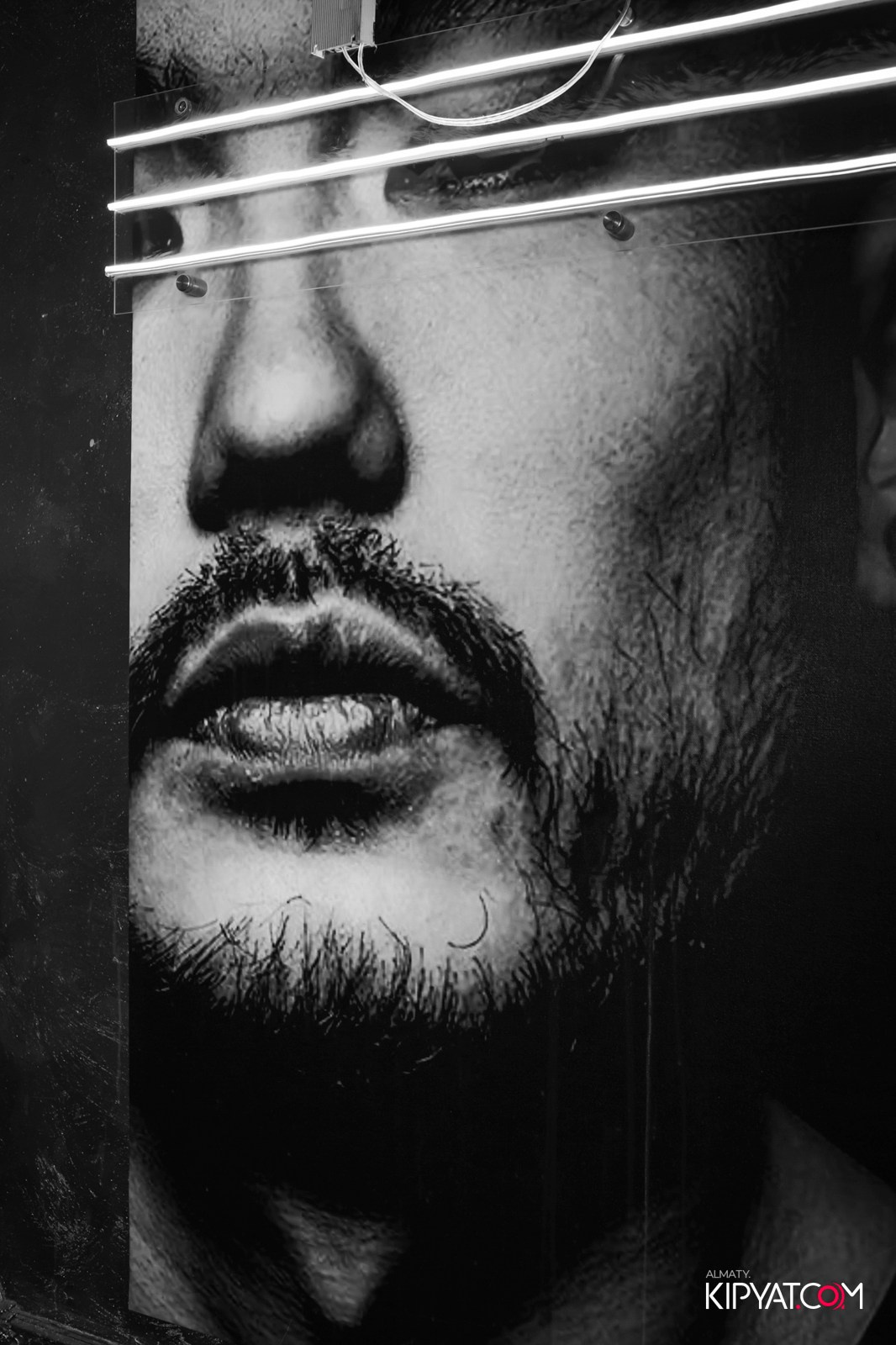 УХО И МЕДВЕДЬ НА ГАГАРИНА. КИПЯТКОМ АЛМАТЫ!