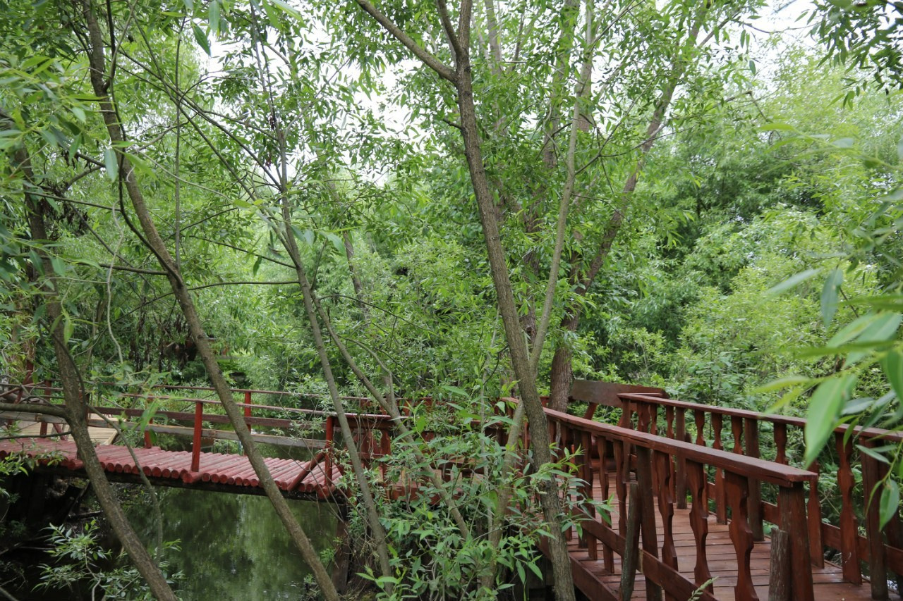 Деревенский выезд. Галерея Фантим