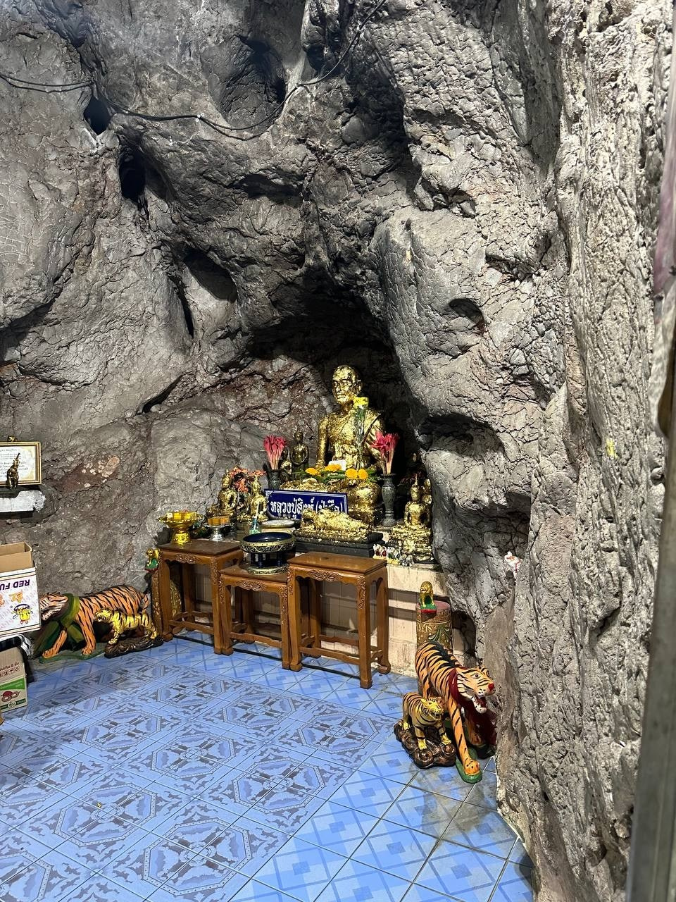 Таиланд | январь–февраль 2024. Галерея Фантим