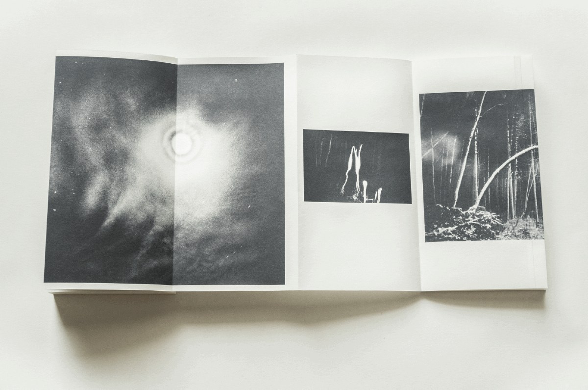 Summer Shore. Vitaly Severov