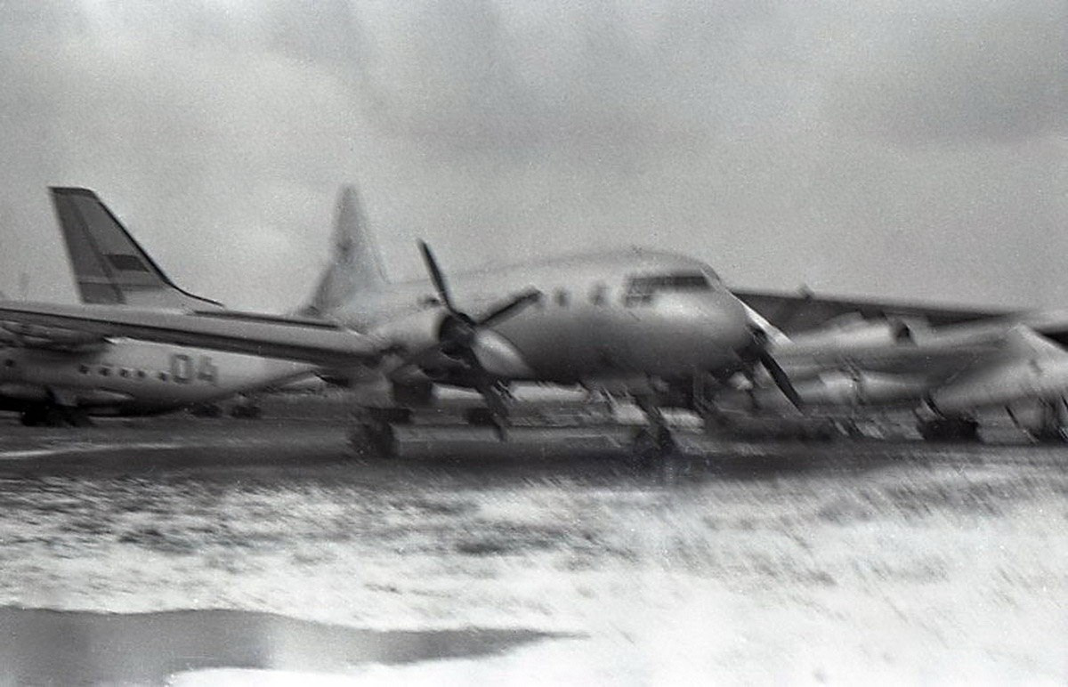 Ил-12 (Монино). Фотоальбом показывающий увлекательный мир авиации и мир медведей Андрея Иванова