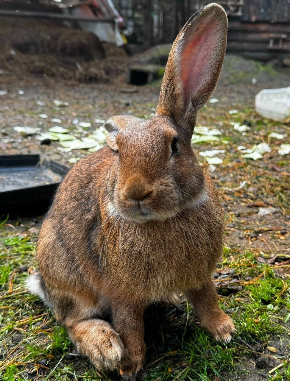 КИНО-ПОРТРЕТЫ УФА