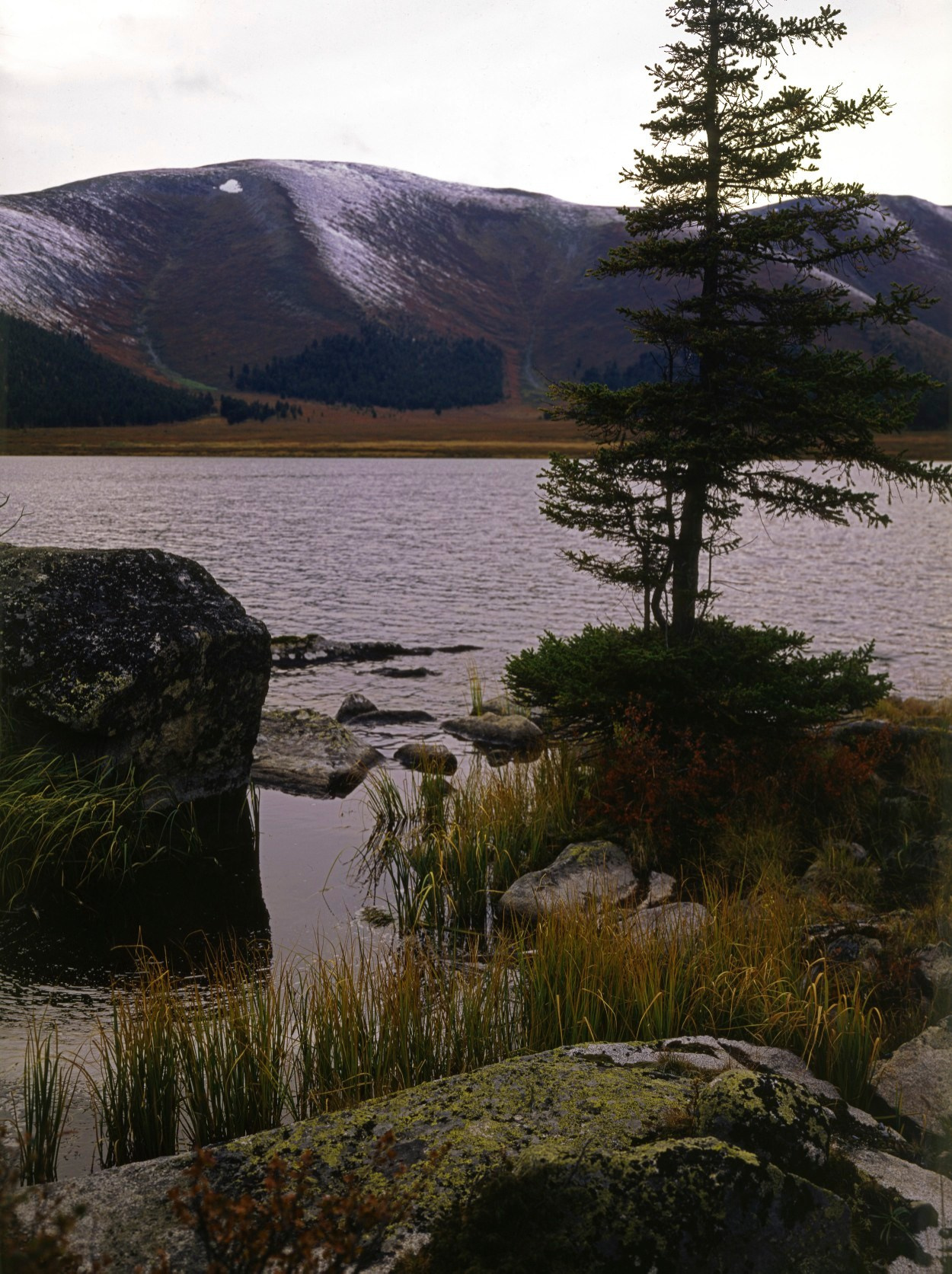 Саяны. ВАДИМ ГИППЕНРЕЙТЕР — ВЕЛИКИЙ ФОТОГРАФ ЗЕМЛИ РУССКОЙ