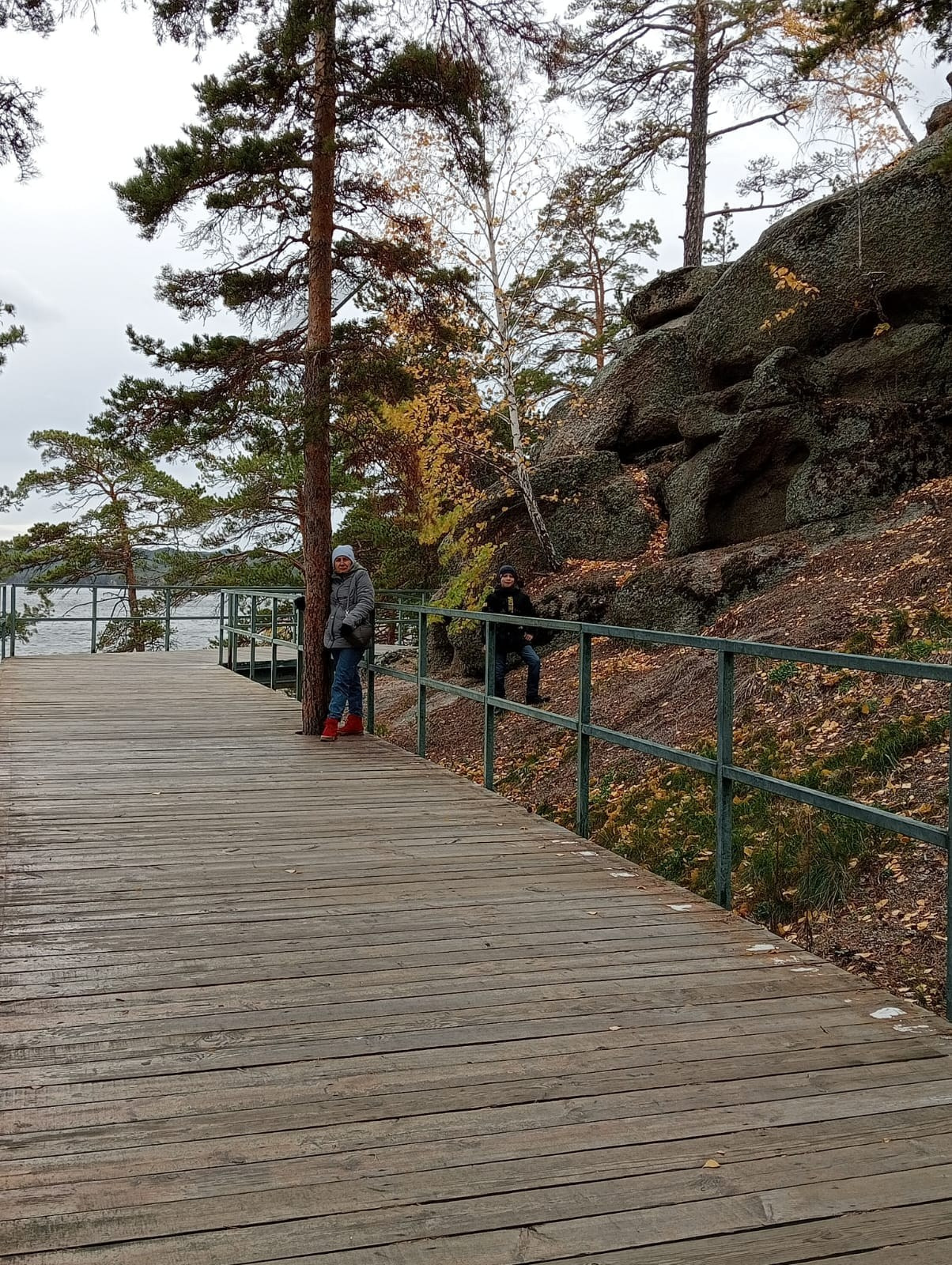 Боровое, поляна Абылай-хана, Казахстан, лес, сосновый бор