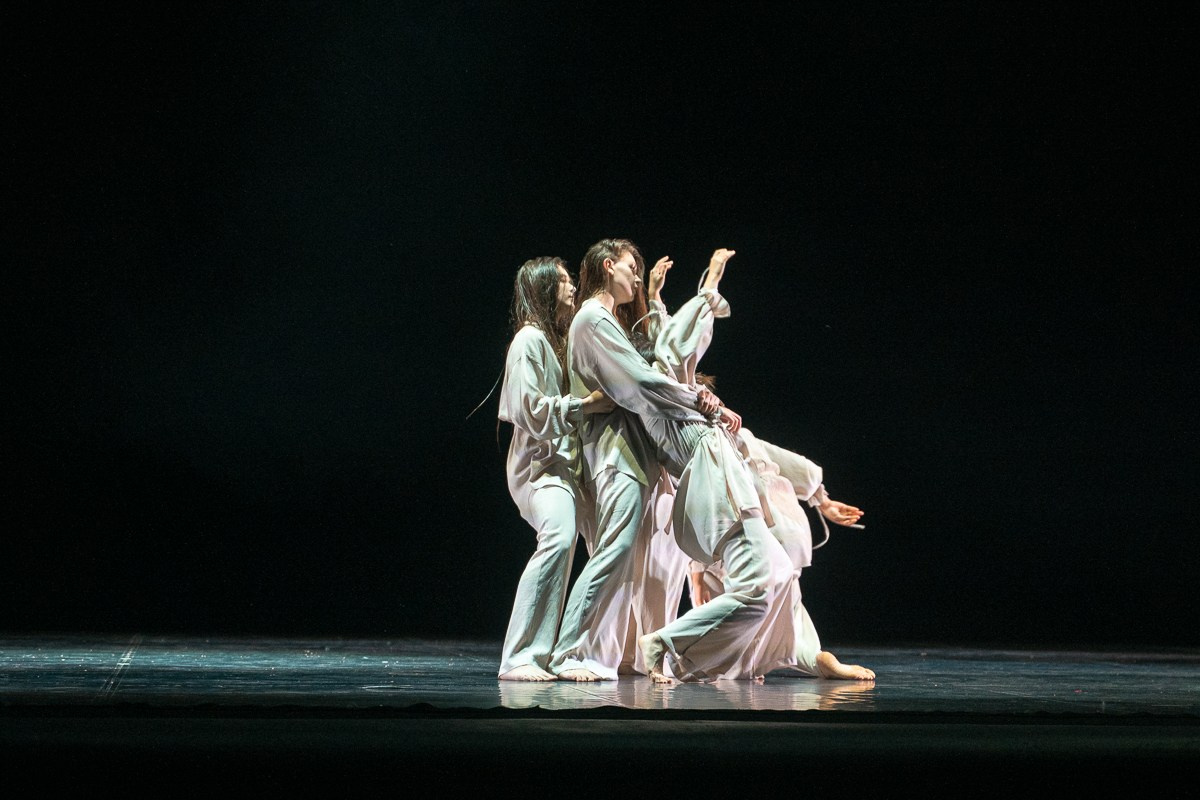 Новофест Фестиваль современного танца. Главная