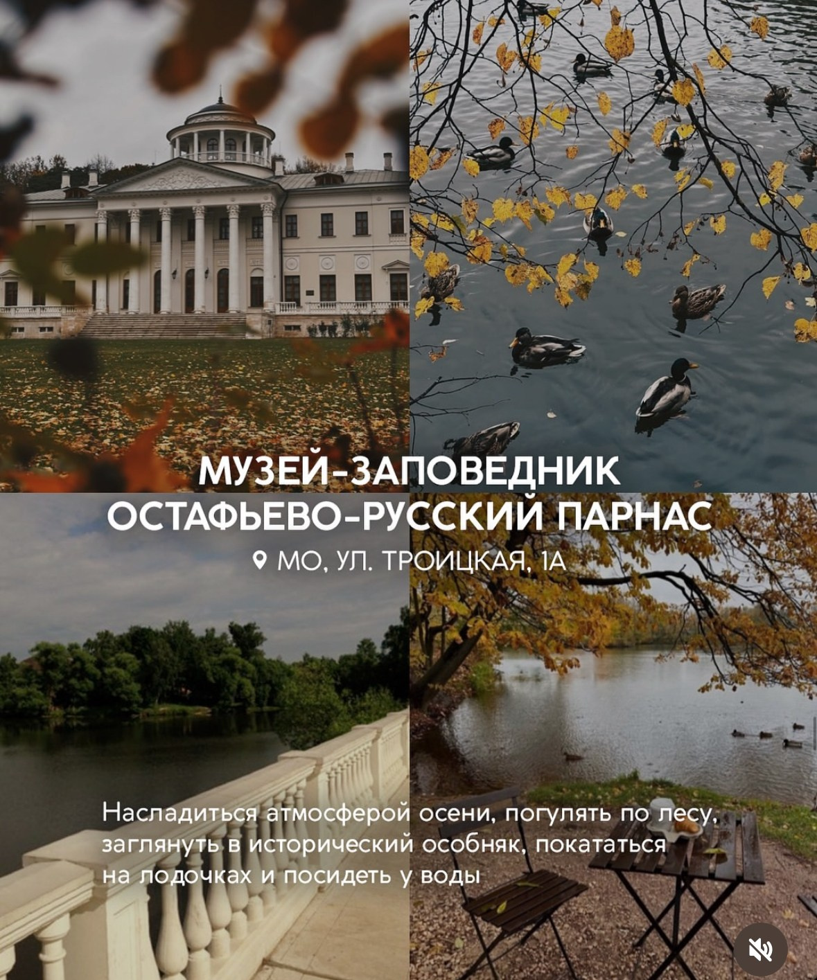 Для уличных фотосессий. Фотограф Александра Сыщенко