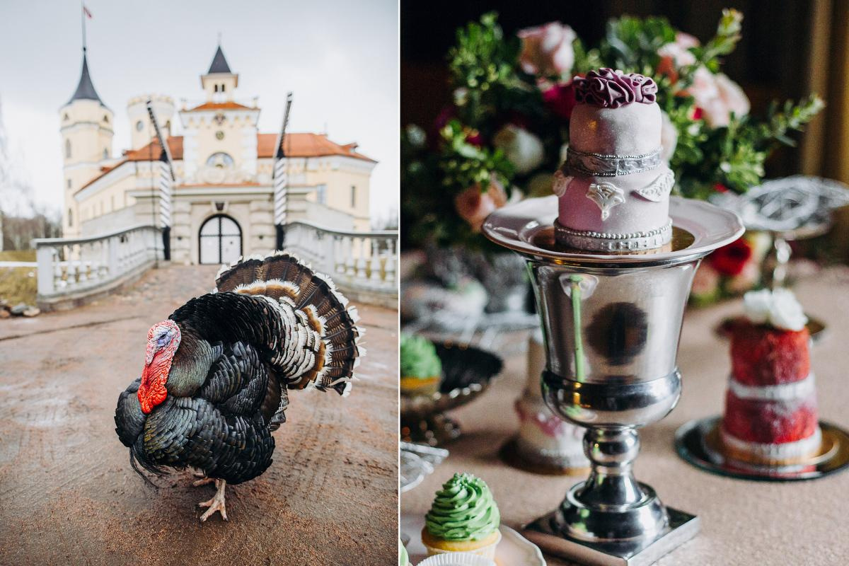 Таня и Рома. Анна Евграфова — профессиональный фотограф в Санкт-Петербурге
