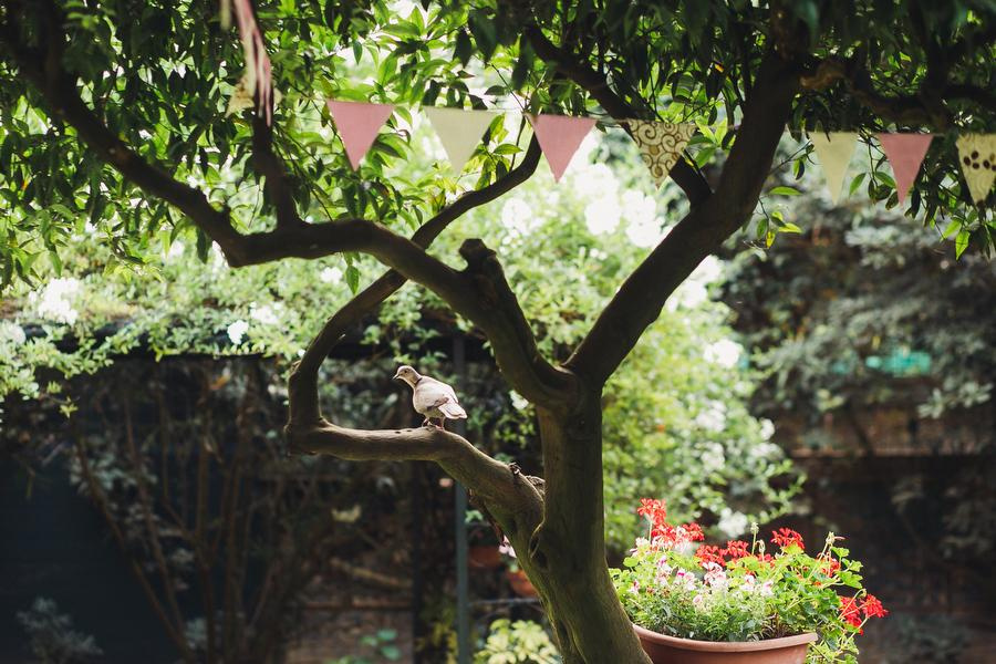 Таша и Гриша. Анна Евграфова — профессиональный фотограф в Санкт-Петербурге