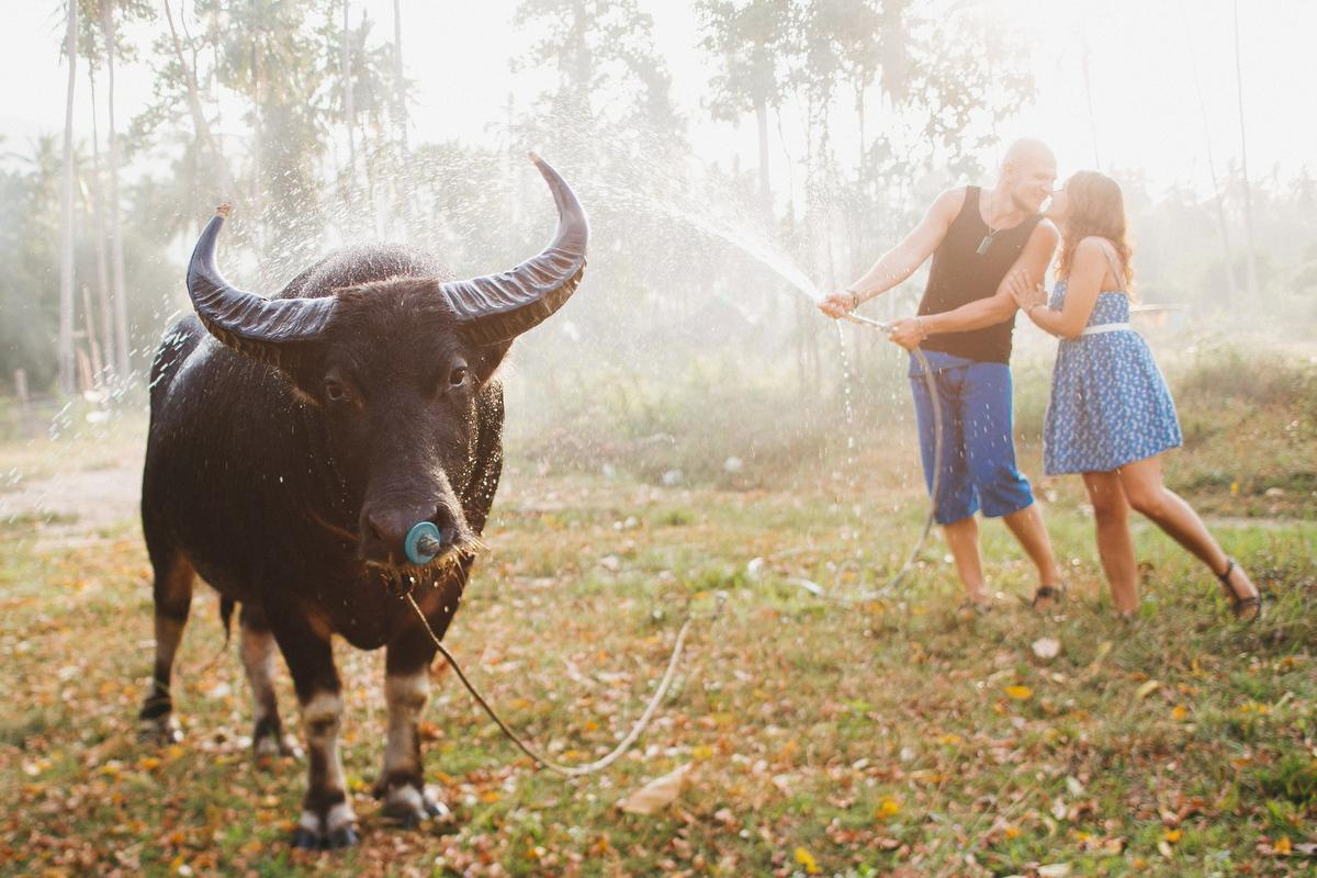 Юлия и Женя. Анна Евграфова — профессиональный фотограф в Санкт-Петербурге