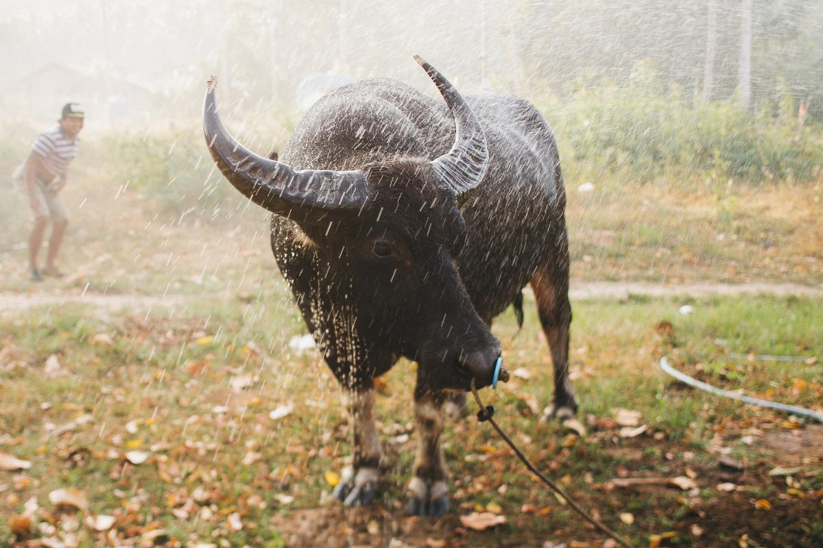 Юлия и Женя. Анна Евграфова — профессиональный фотограф в Санкт-Петербурге