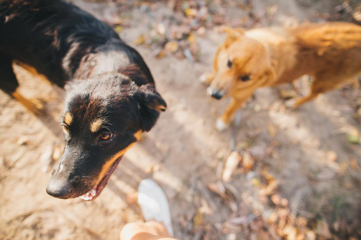 Юлия и Женя. Анна Евграфова — профессиональный фотограф в Санкт-Петербурге