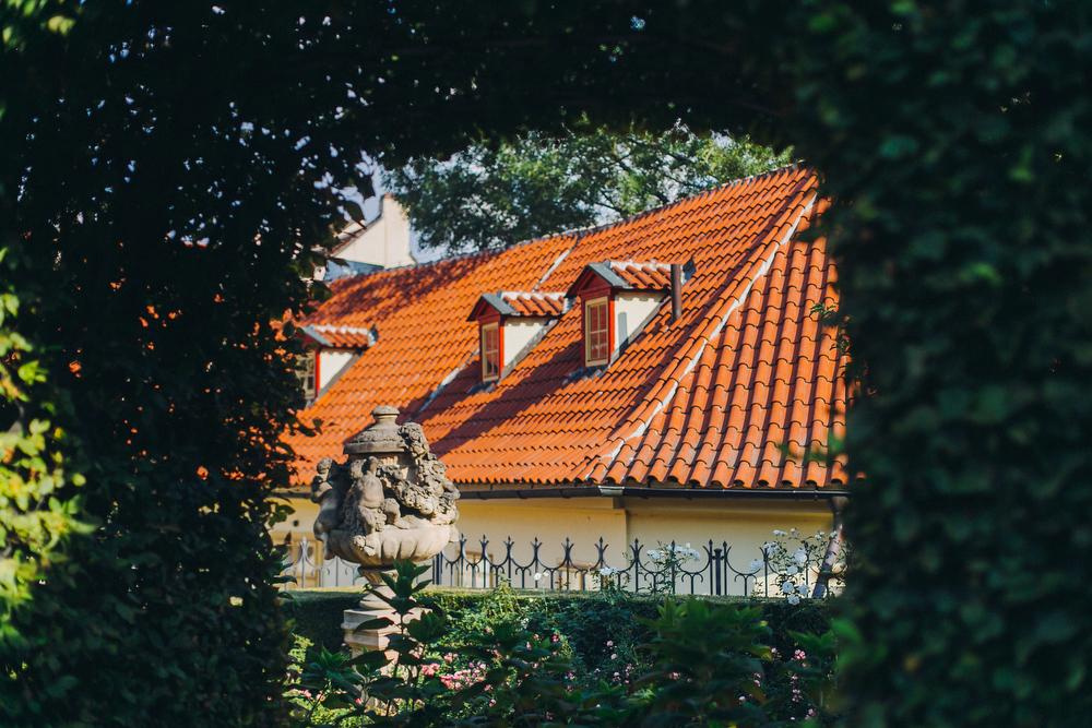 Маша и Саша. Анна Евграфова — профессиональный фотограф в Санкт-Петербурге