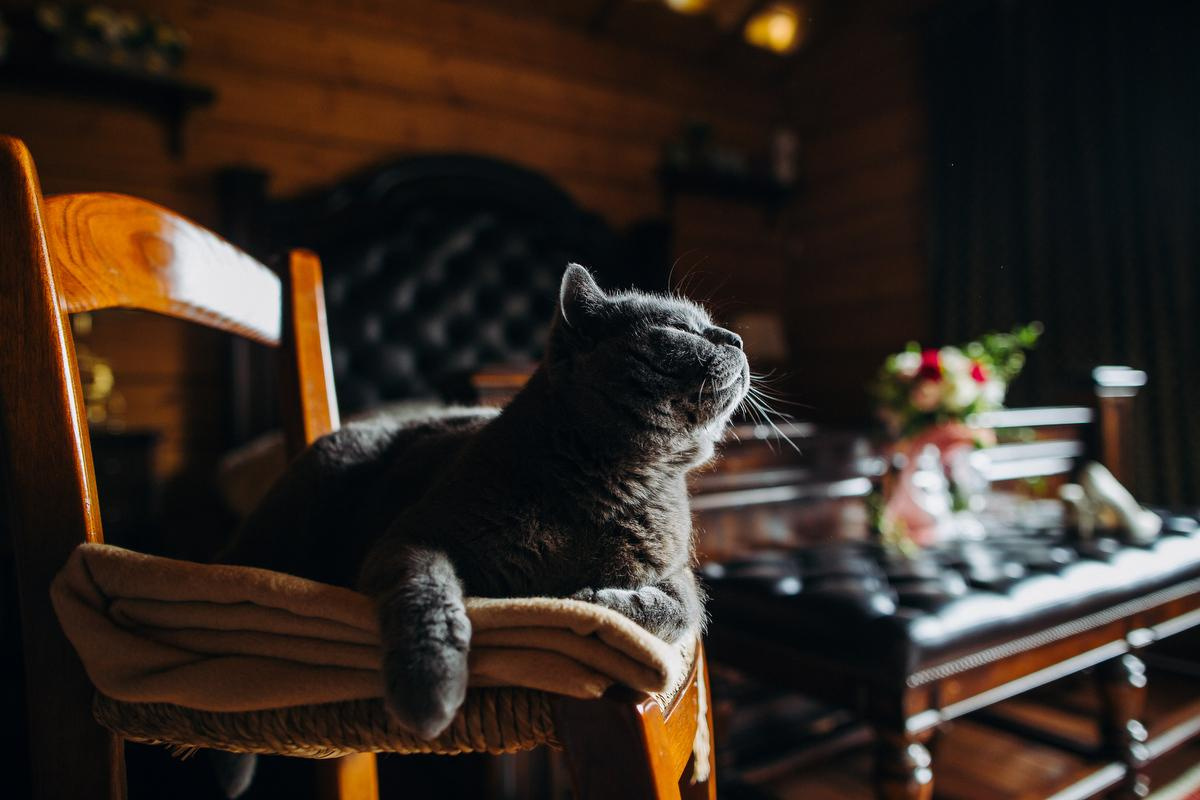 Таня и Рома. Анна Евграфова — профессиональный фотограф в Санкт-Петербурге