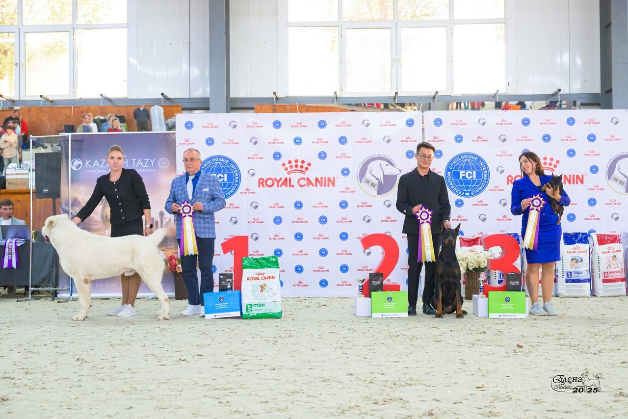 Отзывы. Фотограф анималист Елена Галдина г. Красноярск