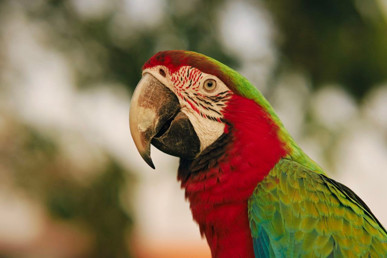 Эль-Джубайль. СА. 2025. Фотограф Михаил Олейник