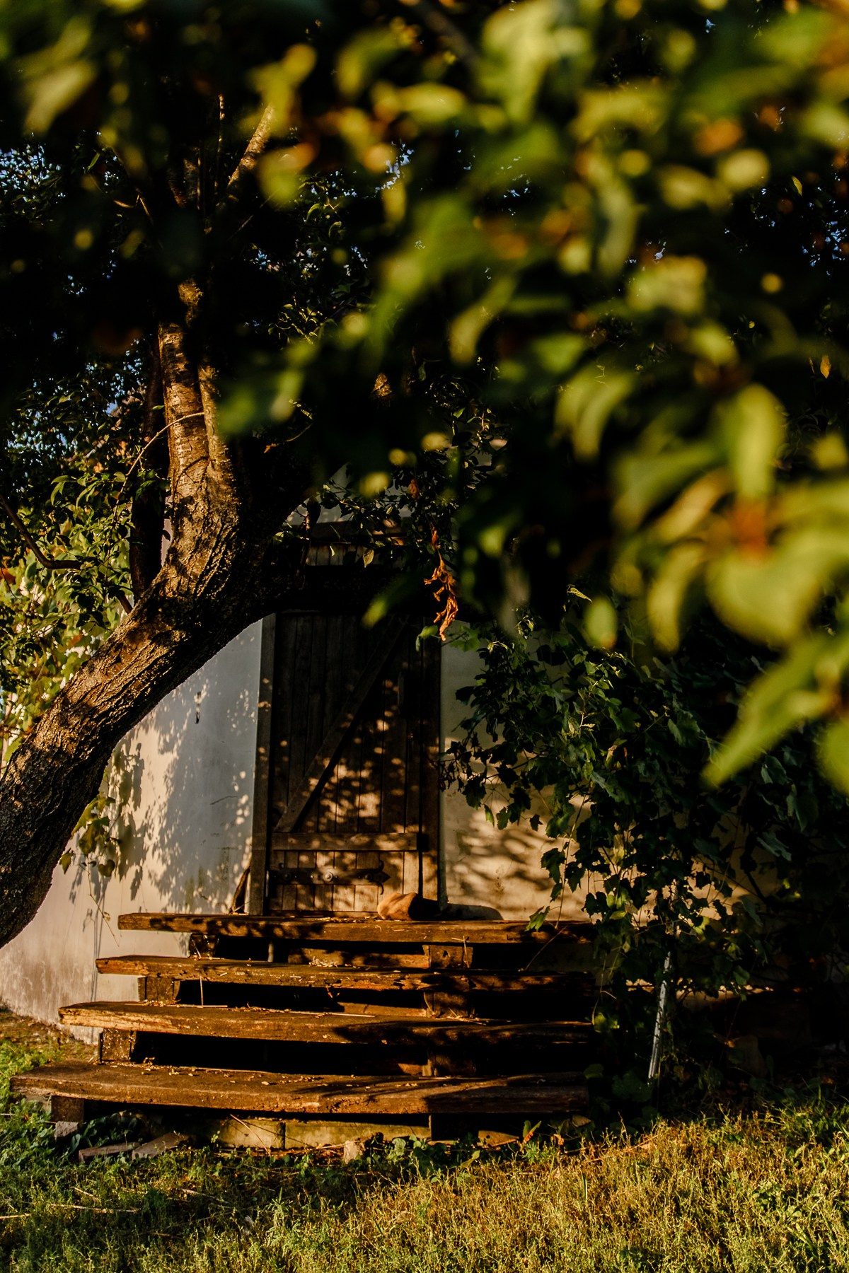 Женя, Вера, Ваня и Ниночка — летние зарисовки. Семейный фотограф Новороссийск, Анапа, Геленджик — Юлия Давыдова