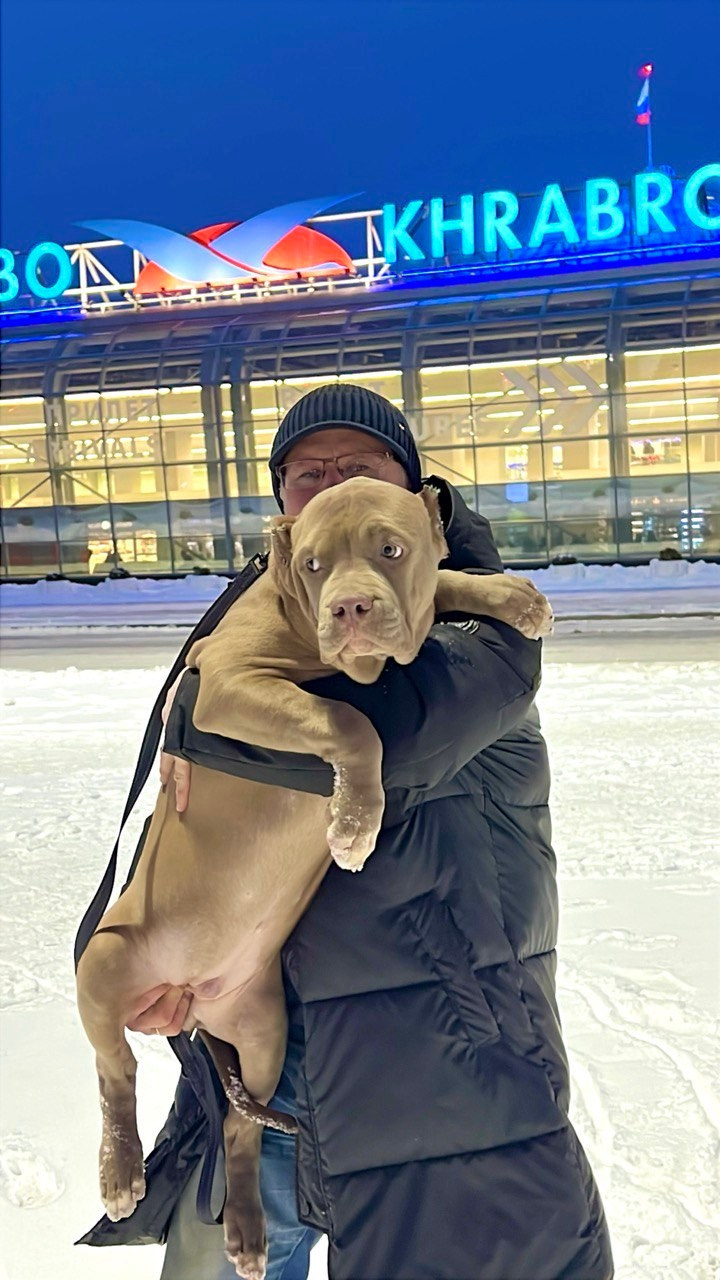 4 месяца 27 кг💪👍🥰