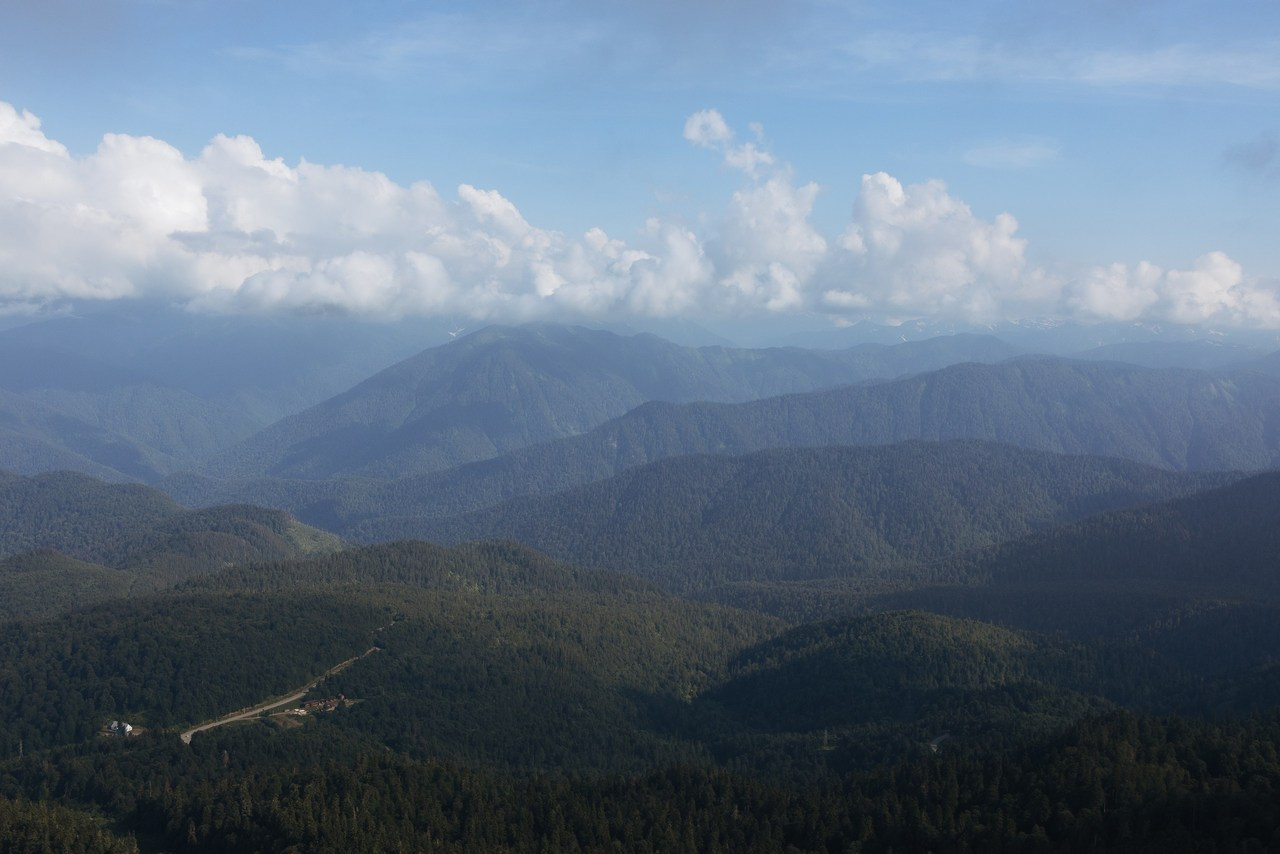 Отзывы. Семейный фотограф в г. Киров Светлана Кузнецова