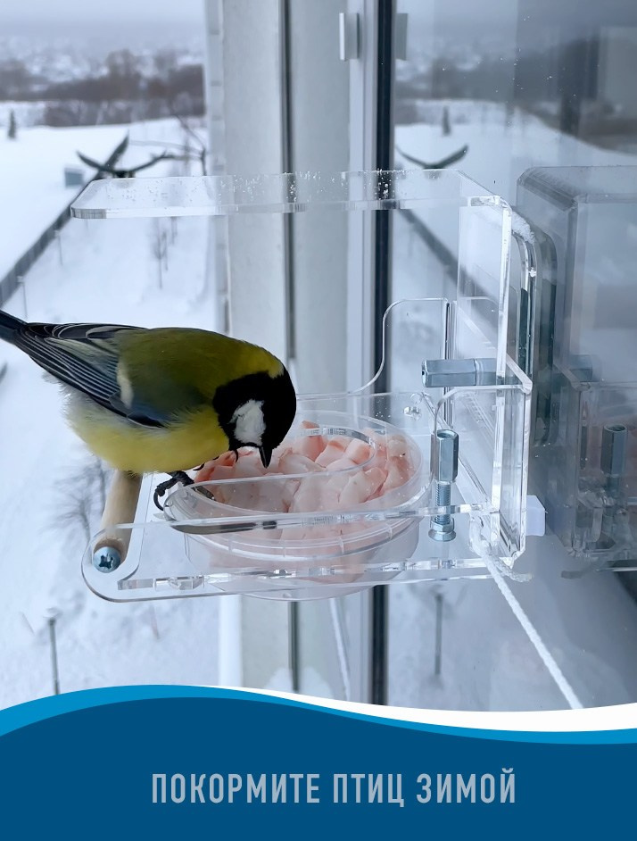 МУЛЬТИПОИЛКА. Кормушки для птиц на окно Чирик-Чирик