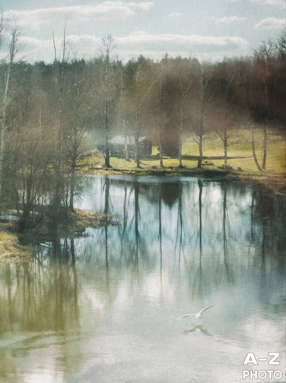 #ФОТОНЕДЕЛИ 20.04.2026. Женский семейный фотограф Тула Москва Захарова Анна