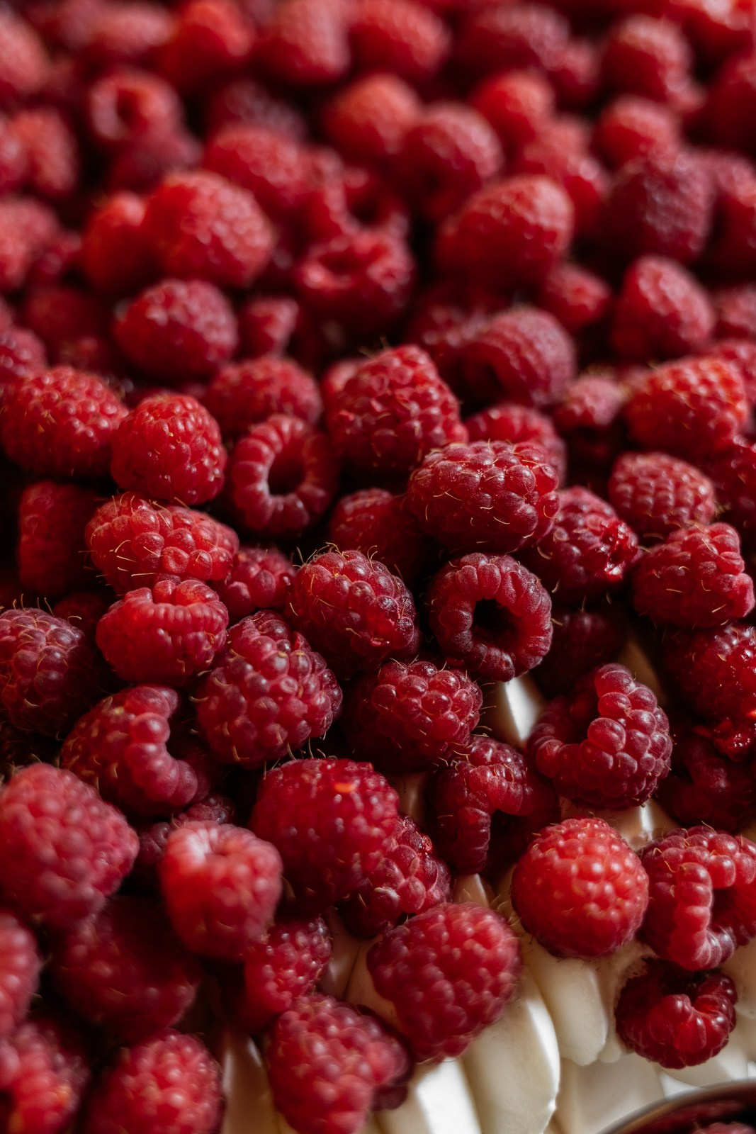 Anika Birthday. Chernenko Photograpy