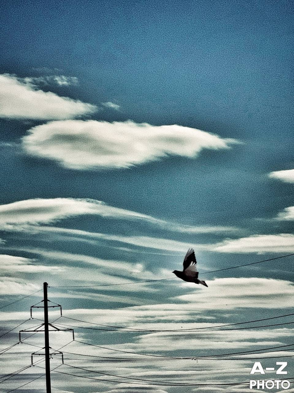 #ФОТОНЕДЕЛИ 13.04.2026. Женский семейный фотограф Тула Москва Захарова Анна