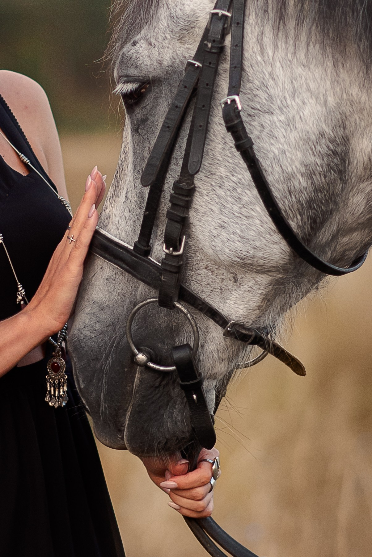 Мария и Дакар — 16.08.2024. Фотограф — Анималист | Анна Абрамова