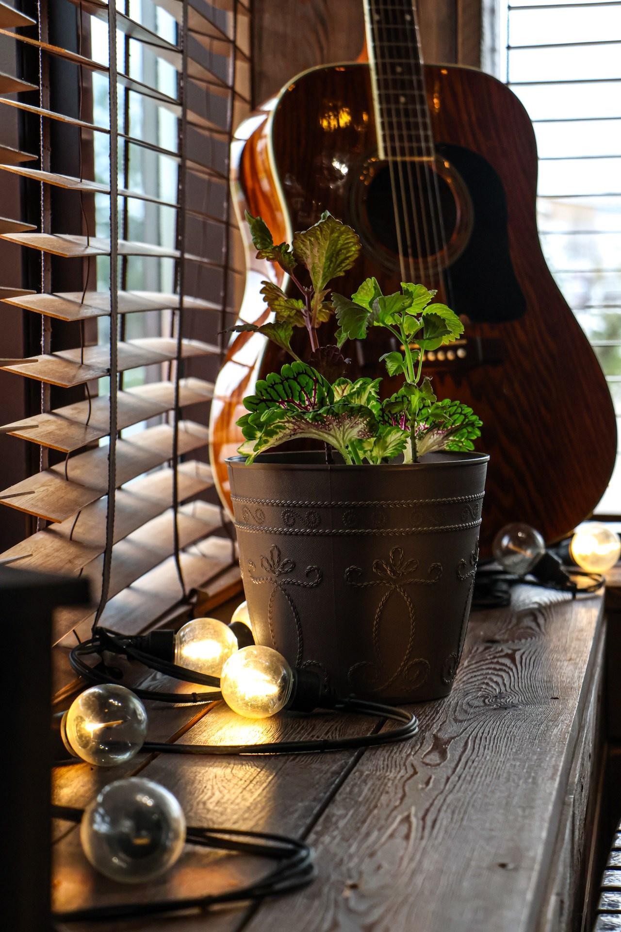 «Барон» гастробар, г. Белокуриха. Контент фотограф Дмитрий Борисов
