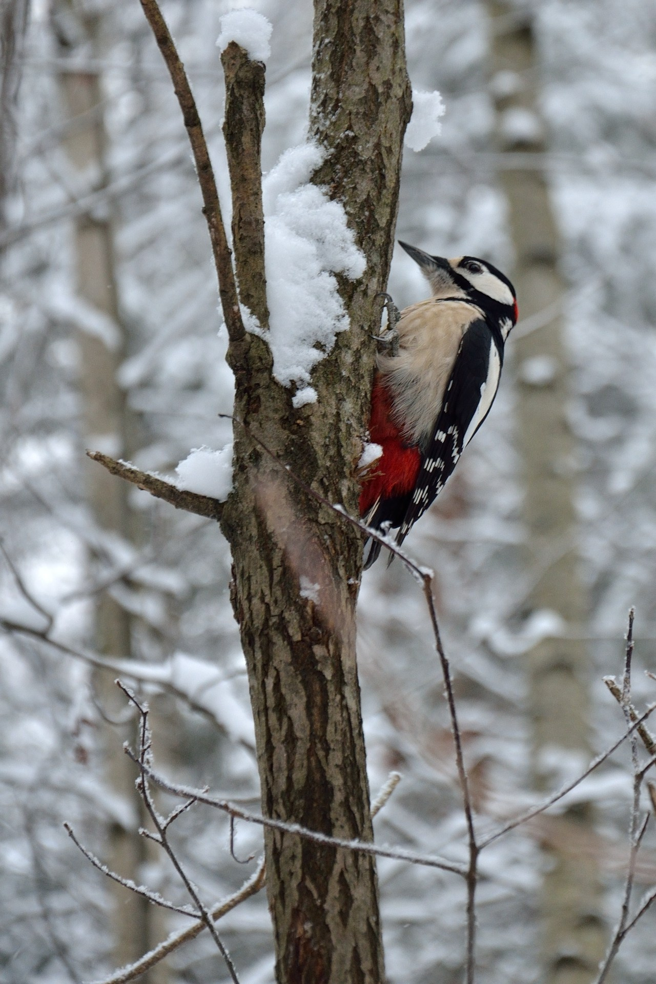 Экскурсия в парке «Сосновка». Добро пожаловать на мой сайт, меня зовут Наталия, я фотограф