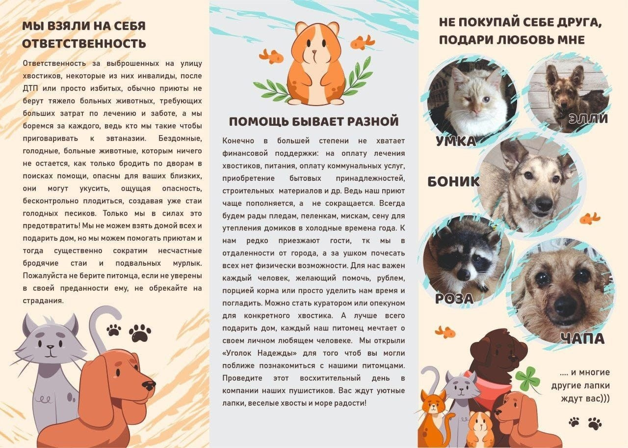 Приют четвероногий АНГЕЛ. Фотограф 📸 семейный, предметный, репортажный