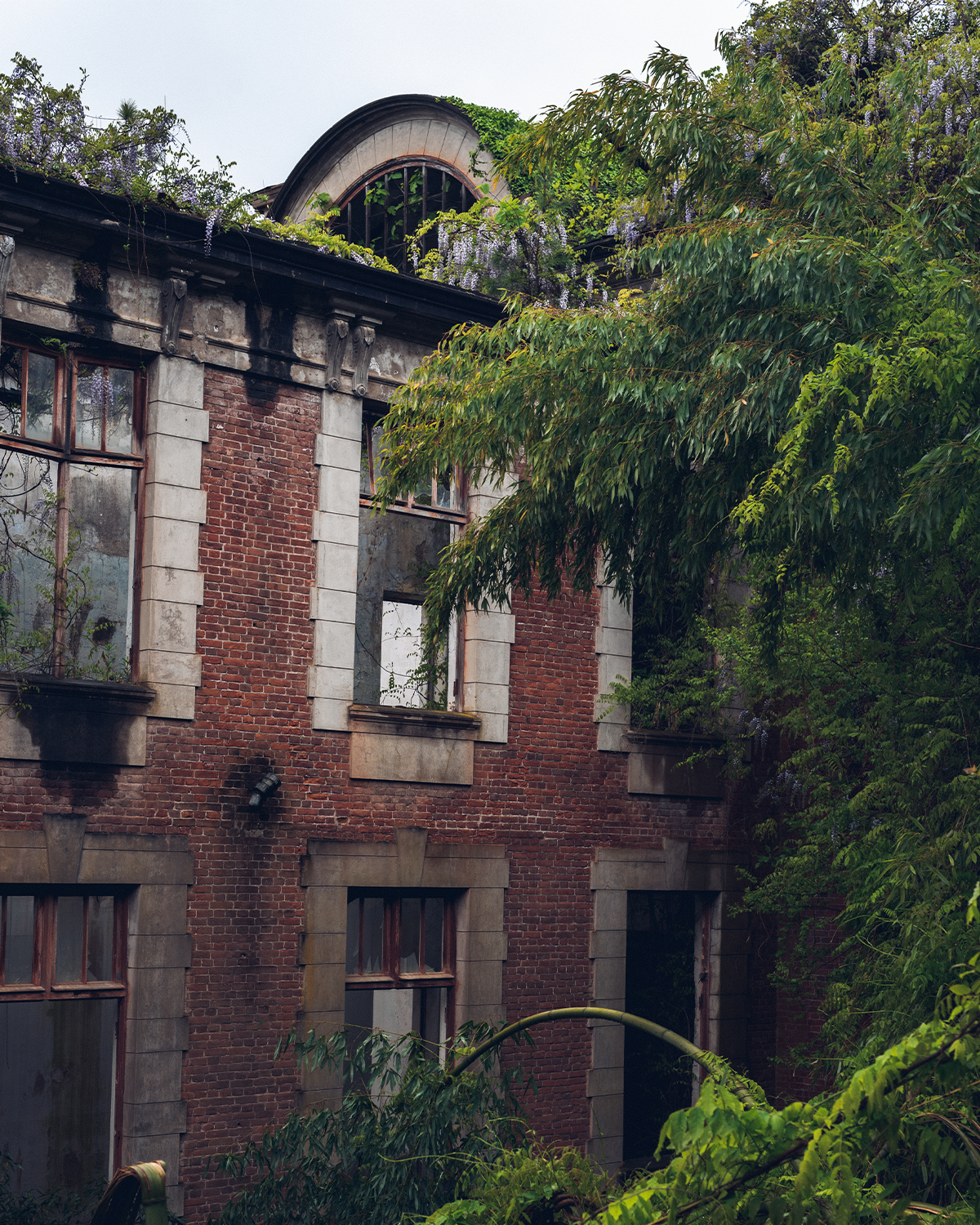 Абхазия в объективе: путешествие рекламного фотографа из Гуанчжоу. Коммерческий и предметный фотограф в Гуанчжоу Коваленко Александр