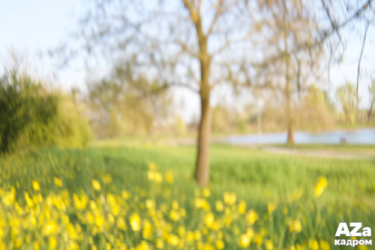 AZакадром «Фотофанты». Женский семейный фотограф Тула Москва Захарова Анна